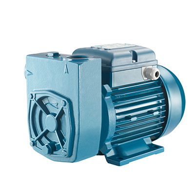 پمپ خودمکش محیطی پنتاکس ایتالیا مدل MD100